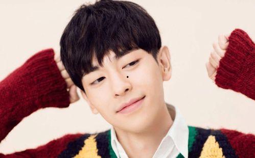 穿书吃瓜娱乐圈晋江,娱乐圈晋江的奇幻之旅